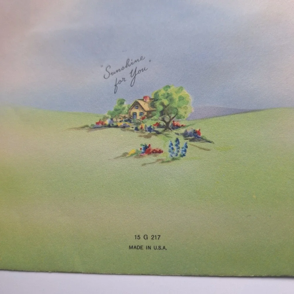 Vintage Carlson Pop Up Get Well Card Cottage‎ Floral Design